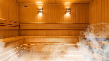 wellhealthorganic.com:difference-between-steam-room-and-sauna-health-benefits-of-steam-room